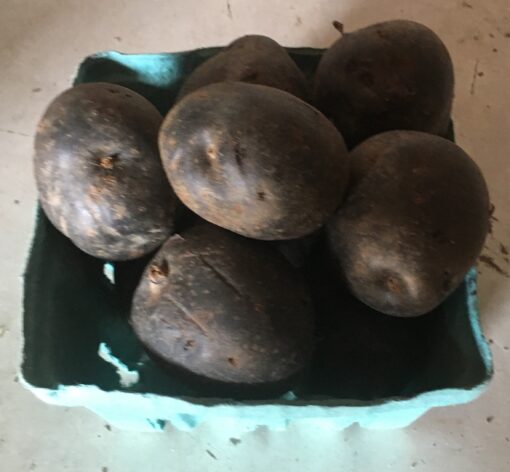 All Blue Potatoes
