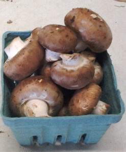 Crimini (Baby Bella) Mushrooms