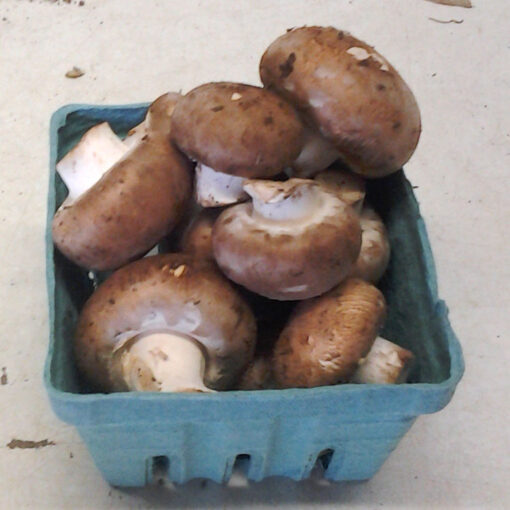 Crimini (Baby Bella) Mushrooms