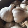 certified-organic-garlic