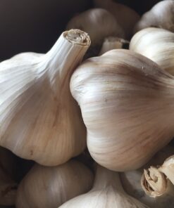 certified-organic-garlic