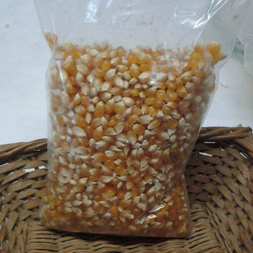 Organic Popcorn