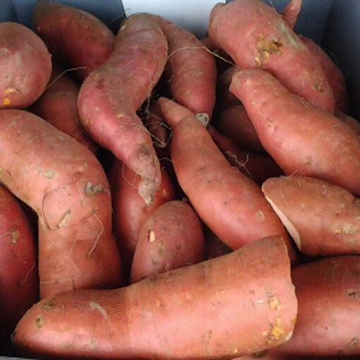 sweet_potatoes