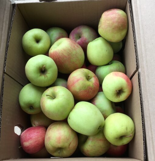 Mixed Apples, 1/2 bu