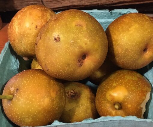 Organic Asian Pears