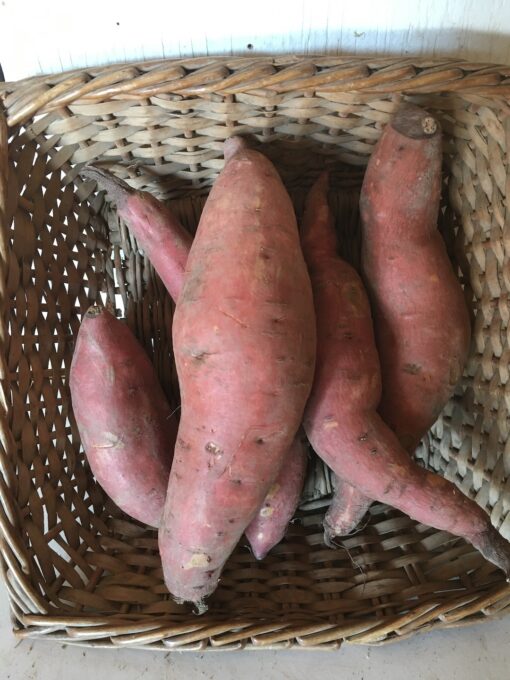 Mini Sweet Potatoes