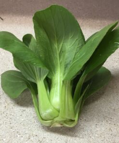 Baby Bok Choi