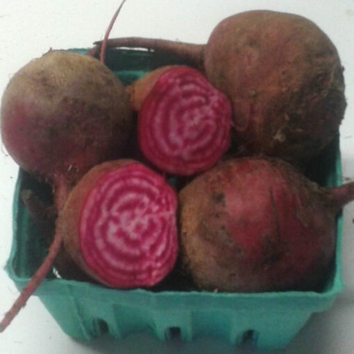 Chioggia Beet Roots
