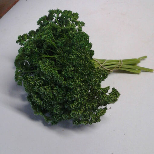 Curly Parsley