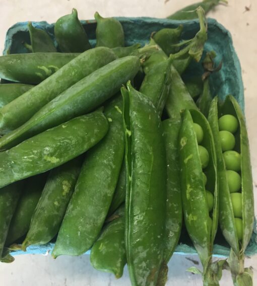 English Shell Peas