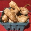 jerusalem artichokes