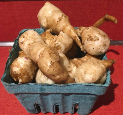 jerusalem artichokes