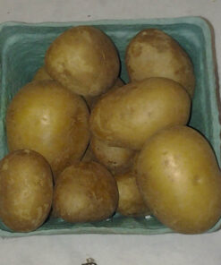 mini_gold_potatoes