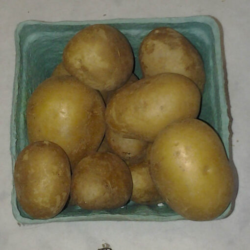 mini_gold_potatoes