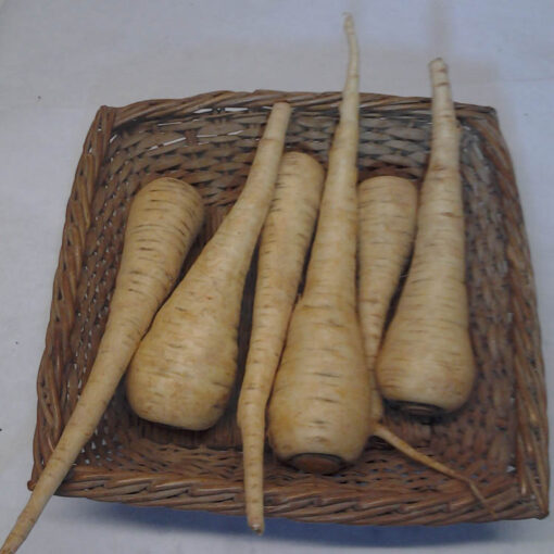 parsnips