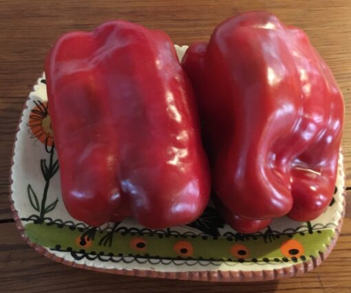 Red Peppers