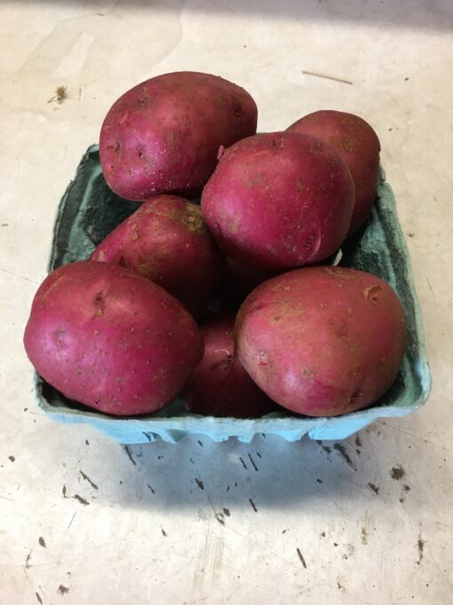 Red Potatoes