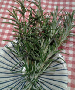 rosemary