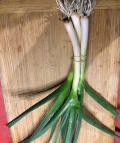 Spring Garlic