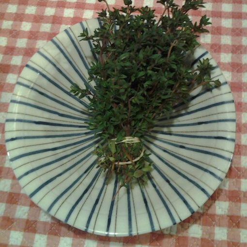 thyme