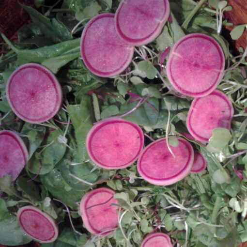 watermelon_radishes