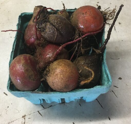 Baby Mixed Beets