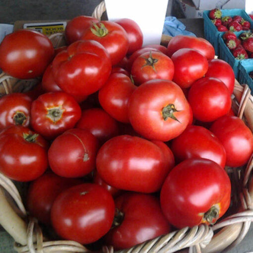 Vine Ripe Tomatoes