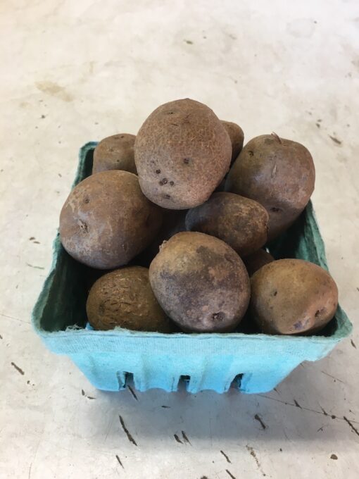 Mini All Blue Potatoes