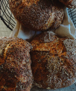 Artisan Wheat Bread (round)