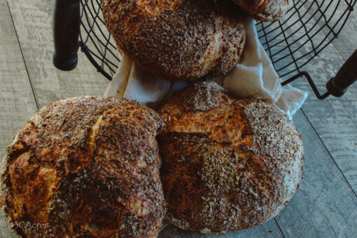 Artisan Wheat Bread (round)