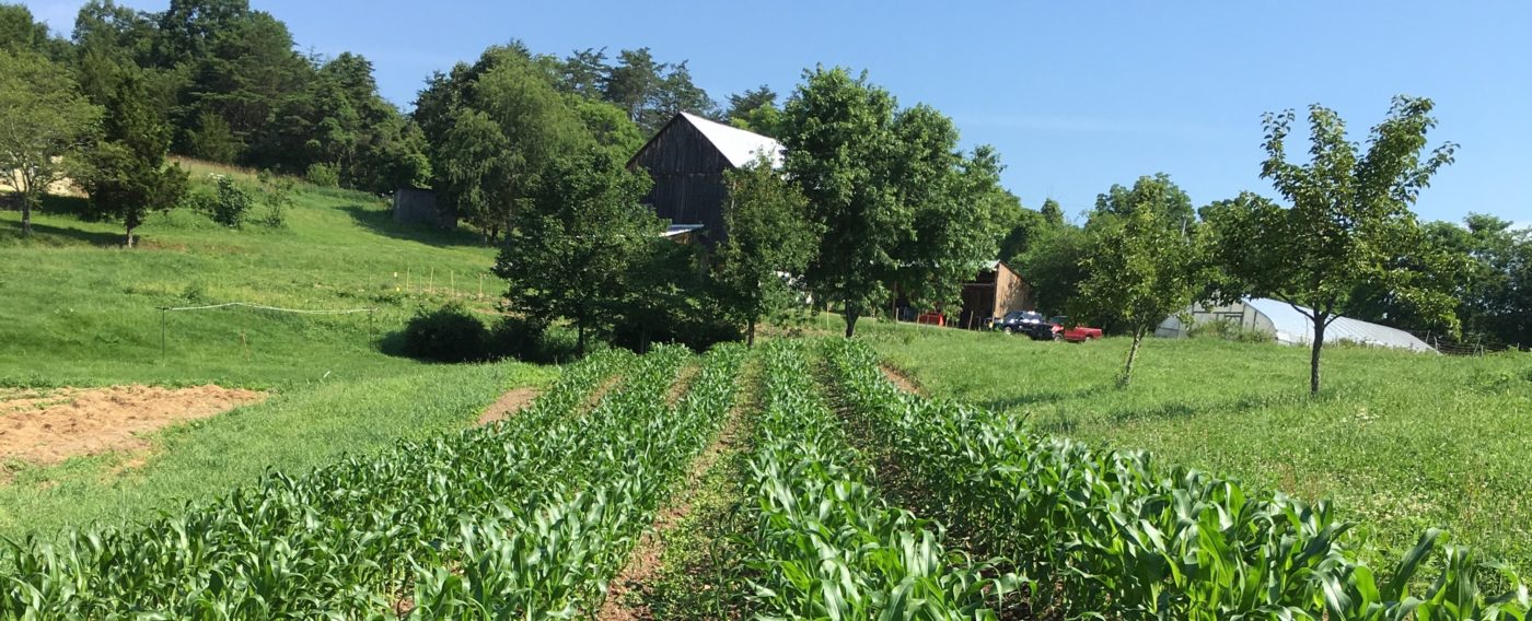 barn-view