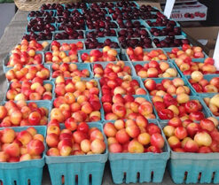 Locally Grown Fruit