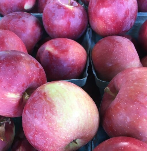 Empire Apples (Local - Not Organic)