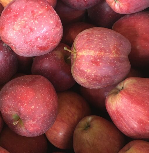 Red Delicious Apples (Local - Not Organic)