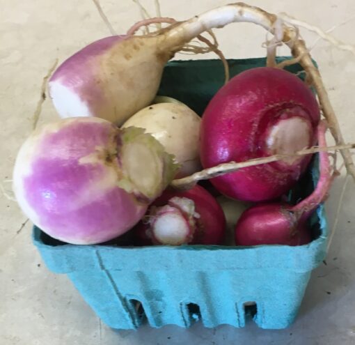 Baby Mixed Turnips