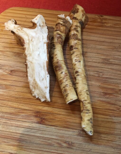 Horseradish
