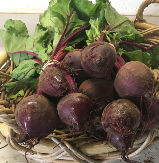 Bunched Red Beets