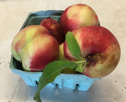 White Nectarines  (Local - Not Organic)