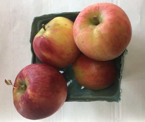 Senshu Apples (Local - Not Organic)