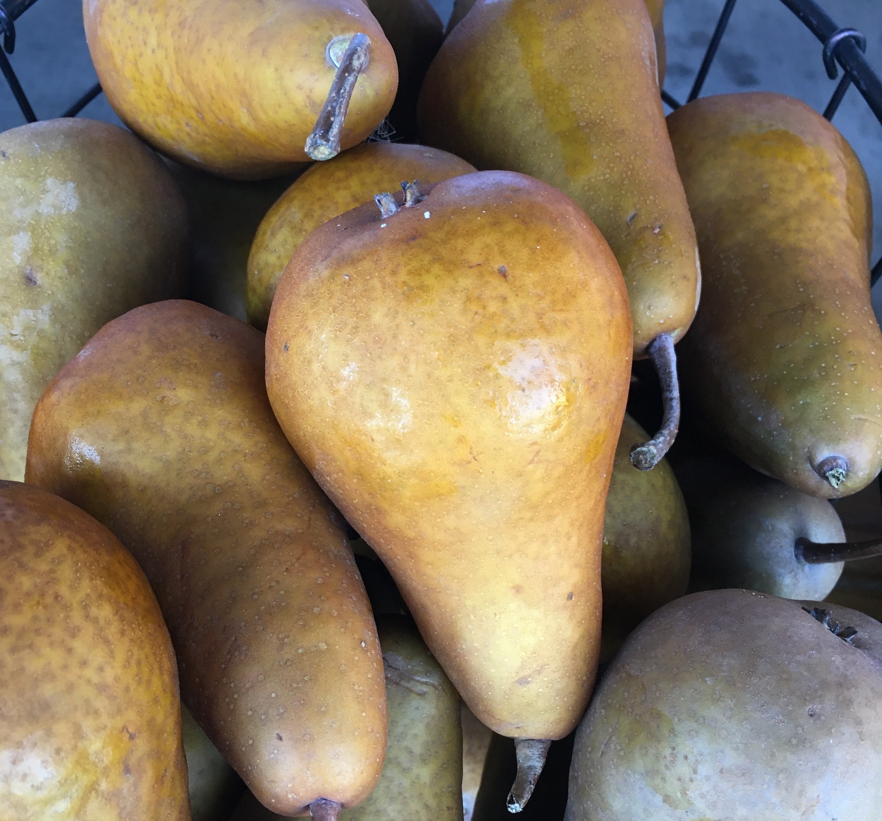 Organic Bosc Pears
