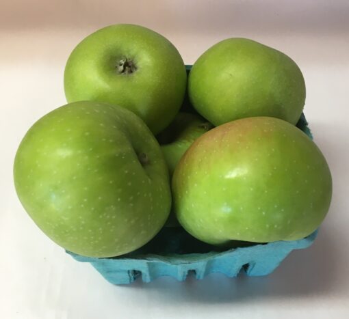 Summer Rambo Apples (Local - Not Organic)