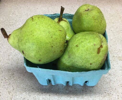 Bartlett Pears     (Local - Not Organic)