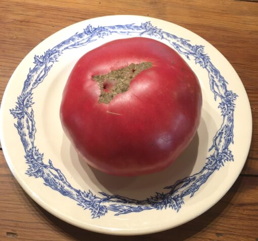 Mortgage Lifter Heirloom Tomato