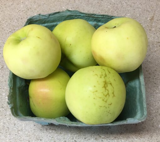 Organic Pristine Apples