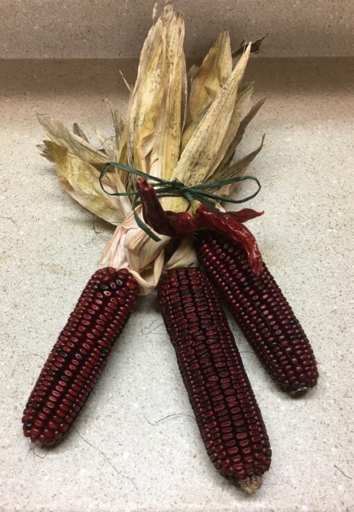ornamental-corn-swag